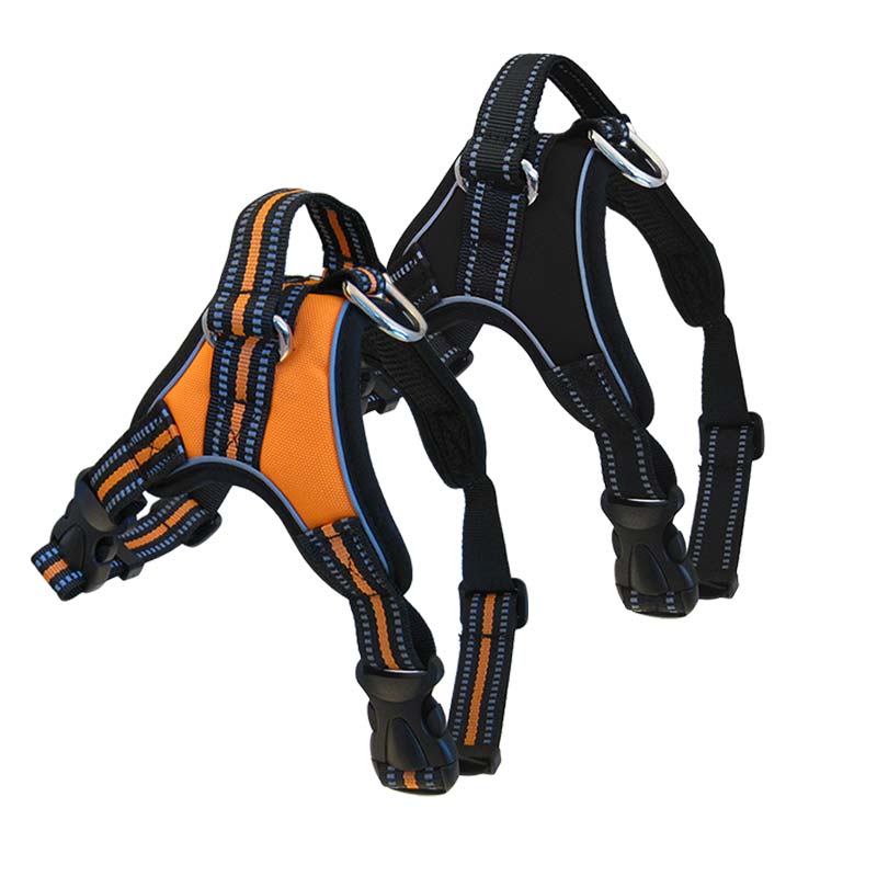 Personalized Sport Harness for Dogs, - Lucky Pet